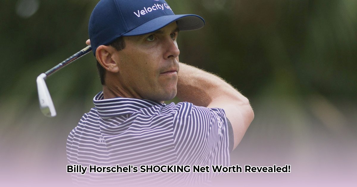 horschel-net-worth